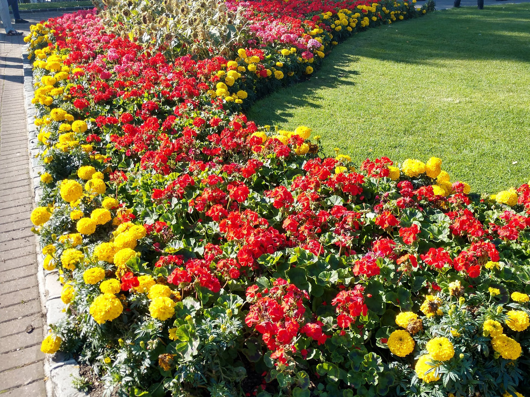 St. Patrick's Park-都柏林必去景点