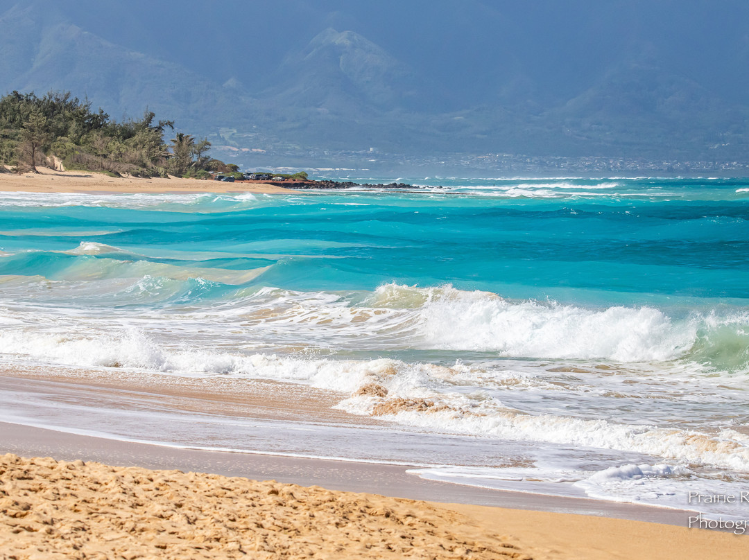 HA Baldwin Beach Park-芭雅必去景点