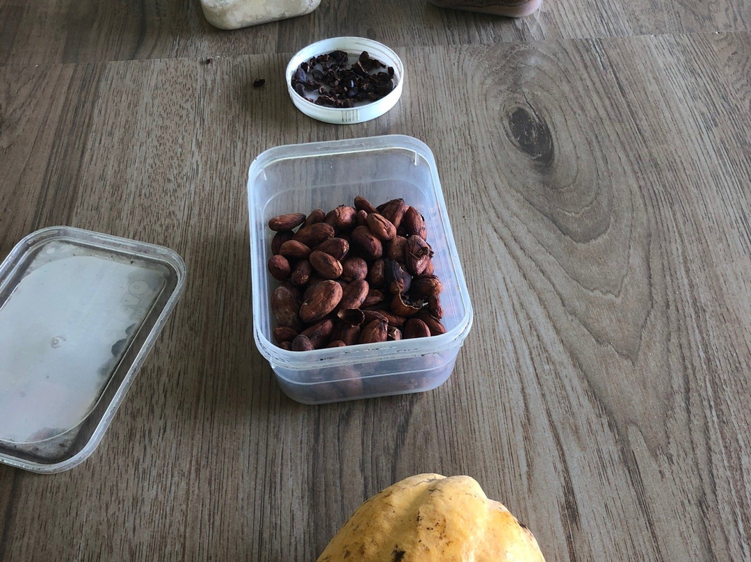 Muoi Cuong Cocoa Farm-芹苴必去景点