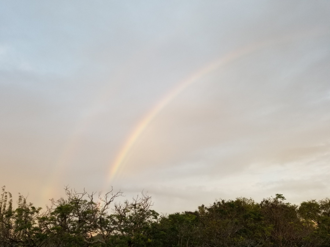 Courtyard by Marriott Bridgetown, Barbados主图