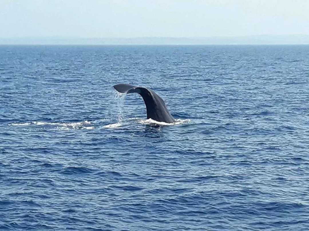 Leisure  Sri Lanka-斯里贾亚瓦德纳普拉必去景点