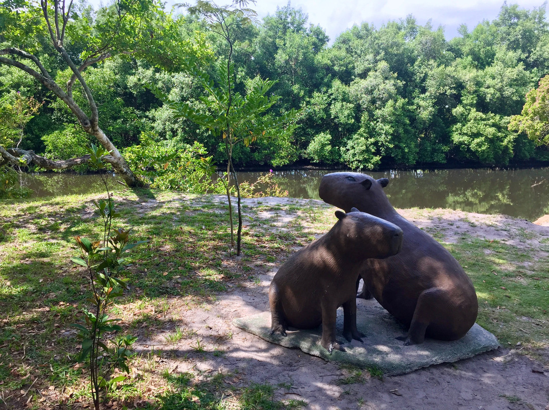 Parque das Capivaras em Meia Praia Itapema.-Itapema必去景点