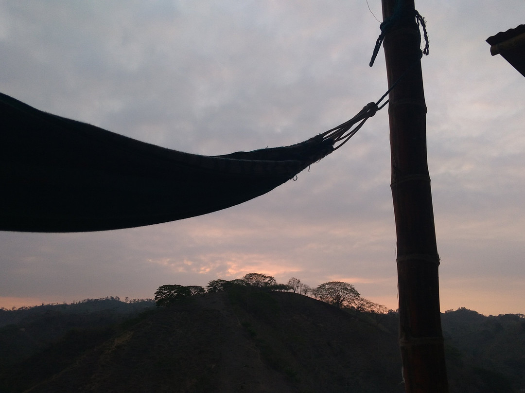 Finca Pinguino Farm-Canoa必去景点