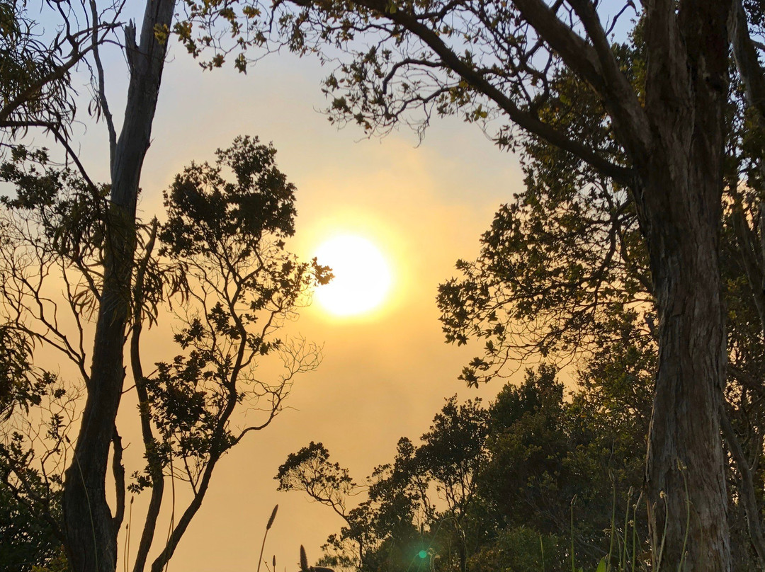 Hiking Kauai景点图片