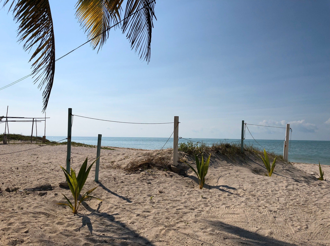 Ecohotel Flamingo Playa主图