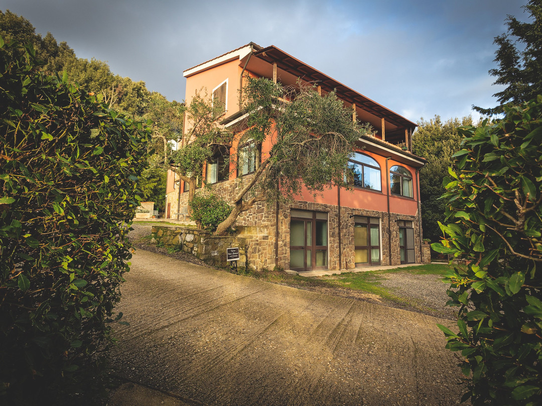 Hotel Villa Paradiso主图