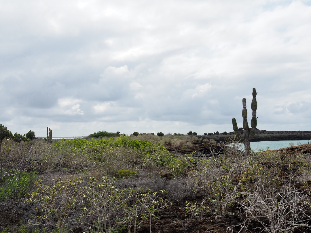 Galapagos Fishing Adventures Gustavo Tour S.A-Puerto Baquerizo Moreno必去景点