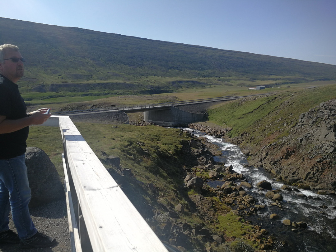Rjúkandi Waterfall-埃伊尔斯塔济必去景点