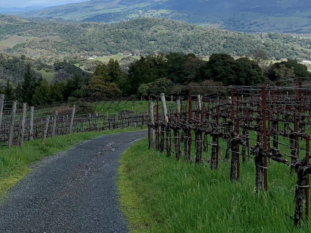 Alta Orsa Winery景点图片
