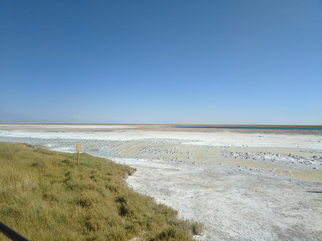 Laguna Cejar景点图片