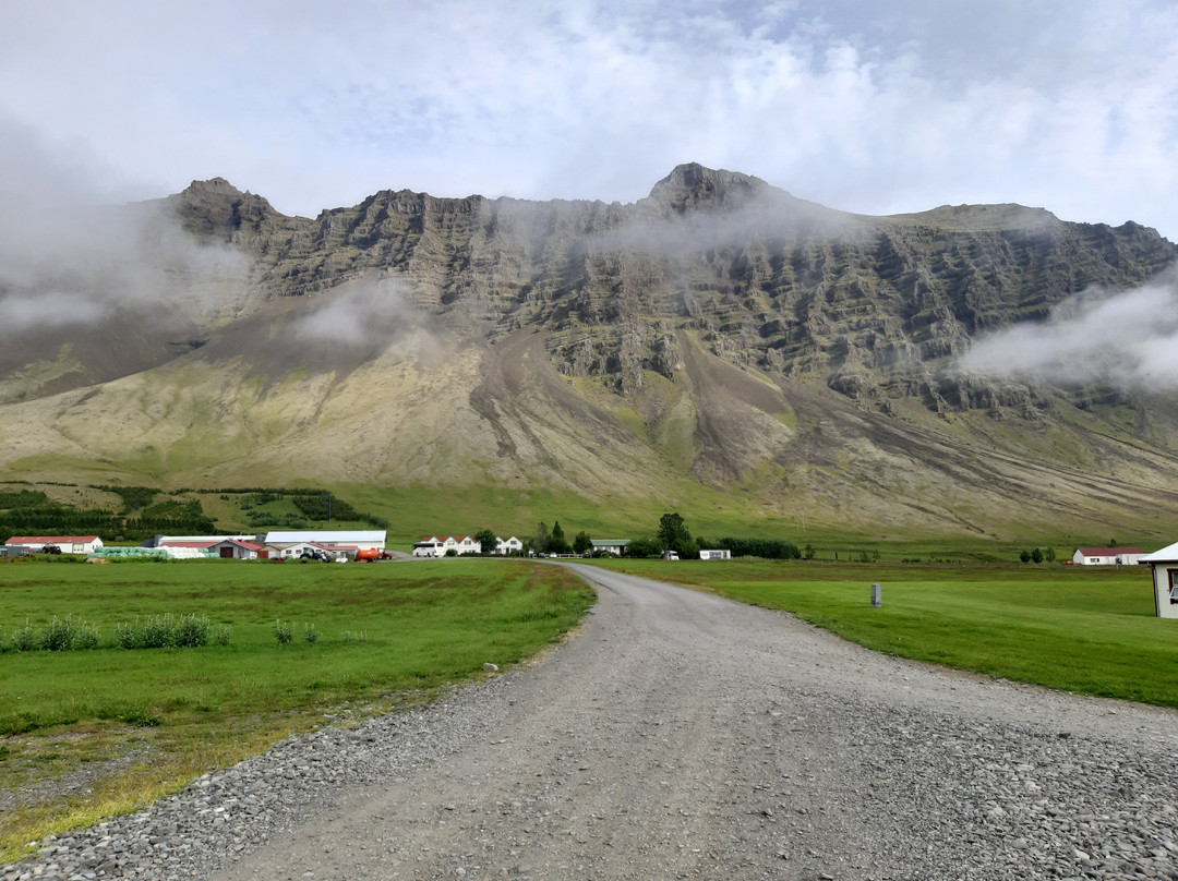 哈利乡村酒店主图