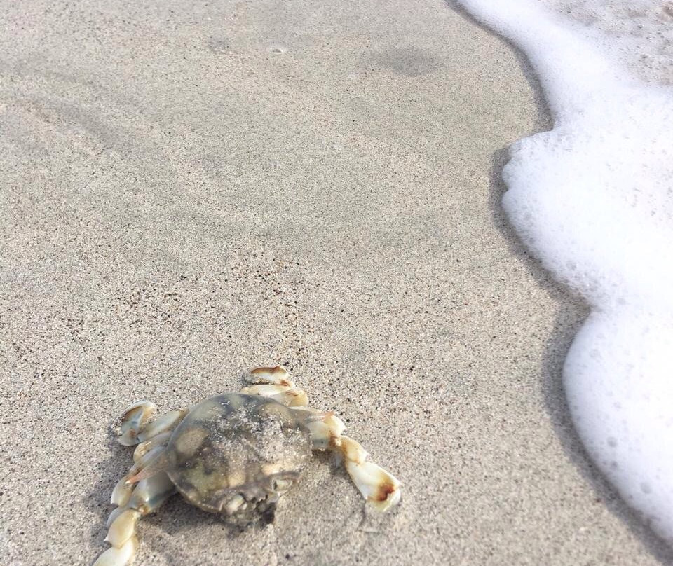 Lombok Genie-Praya必去景点