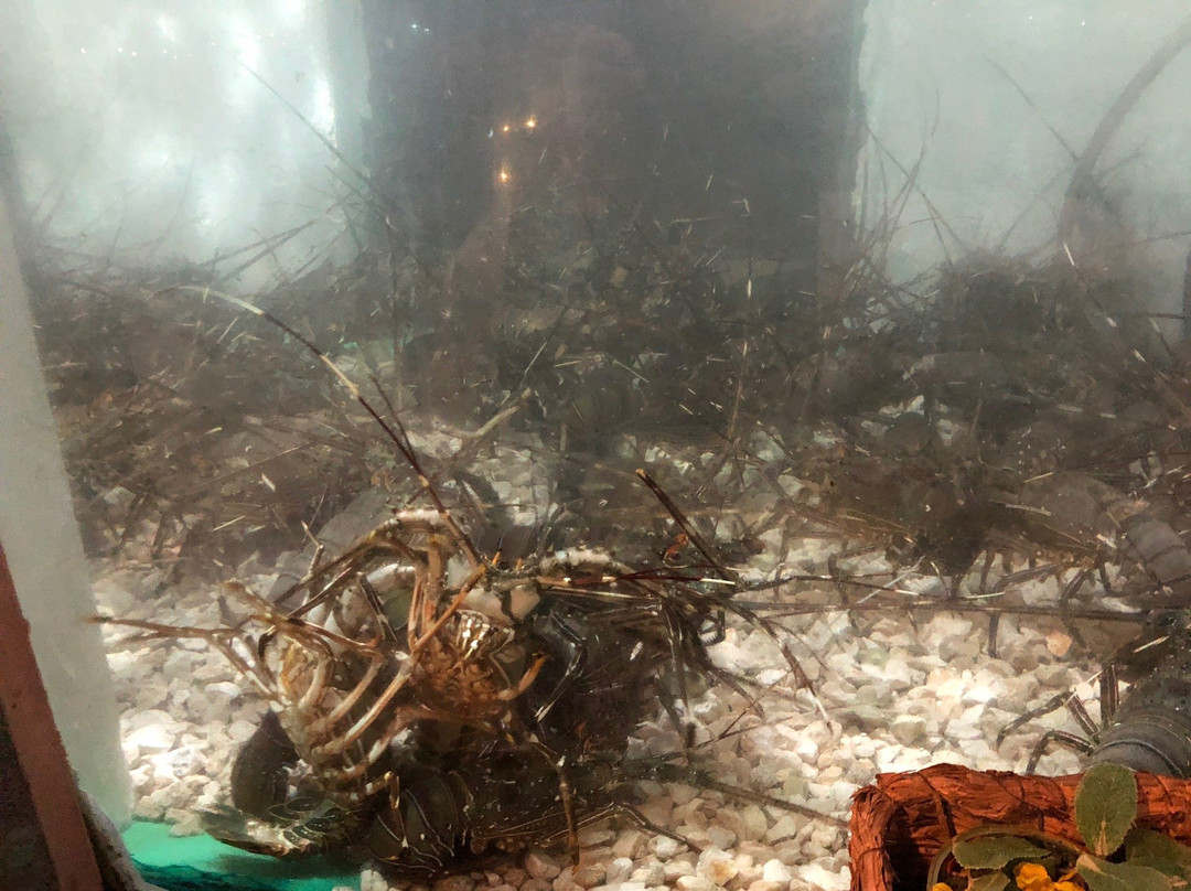 Hotel Costa Del Sol主图