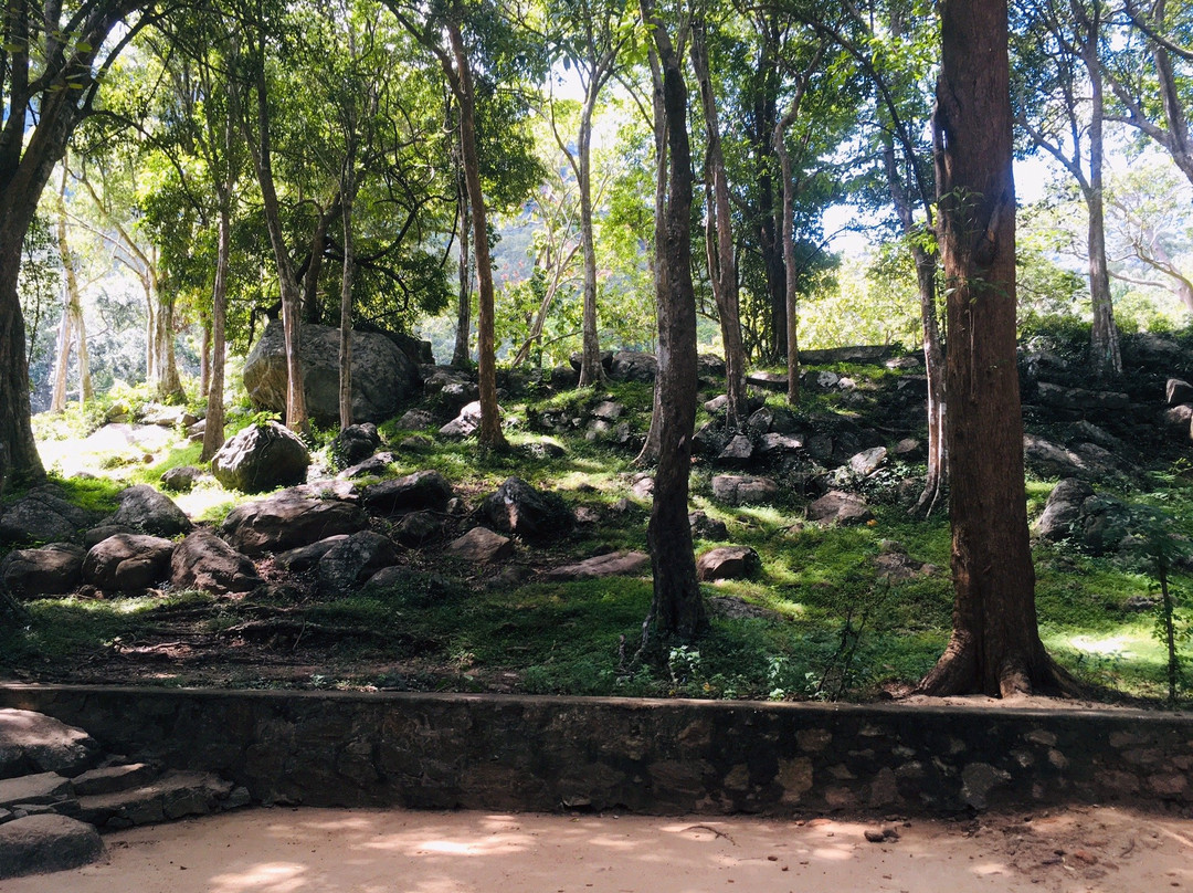Nature Paradise Tours-康提必去景点