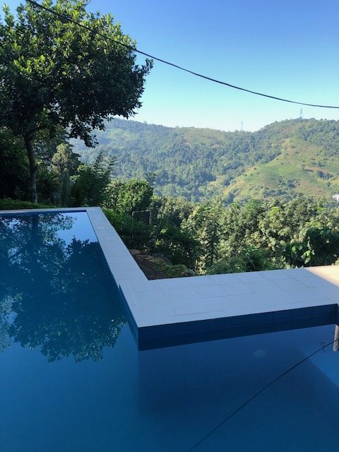 h2o Hotel and Coffee Shop主图