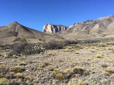 Pine Springs Visitor Center-Guadalupe Mountains National Park必去景点