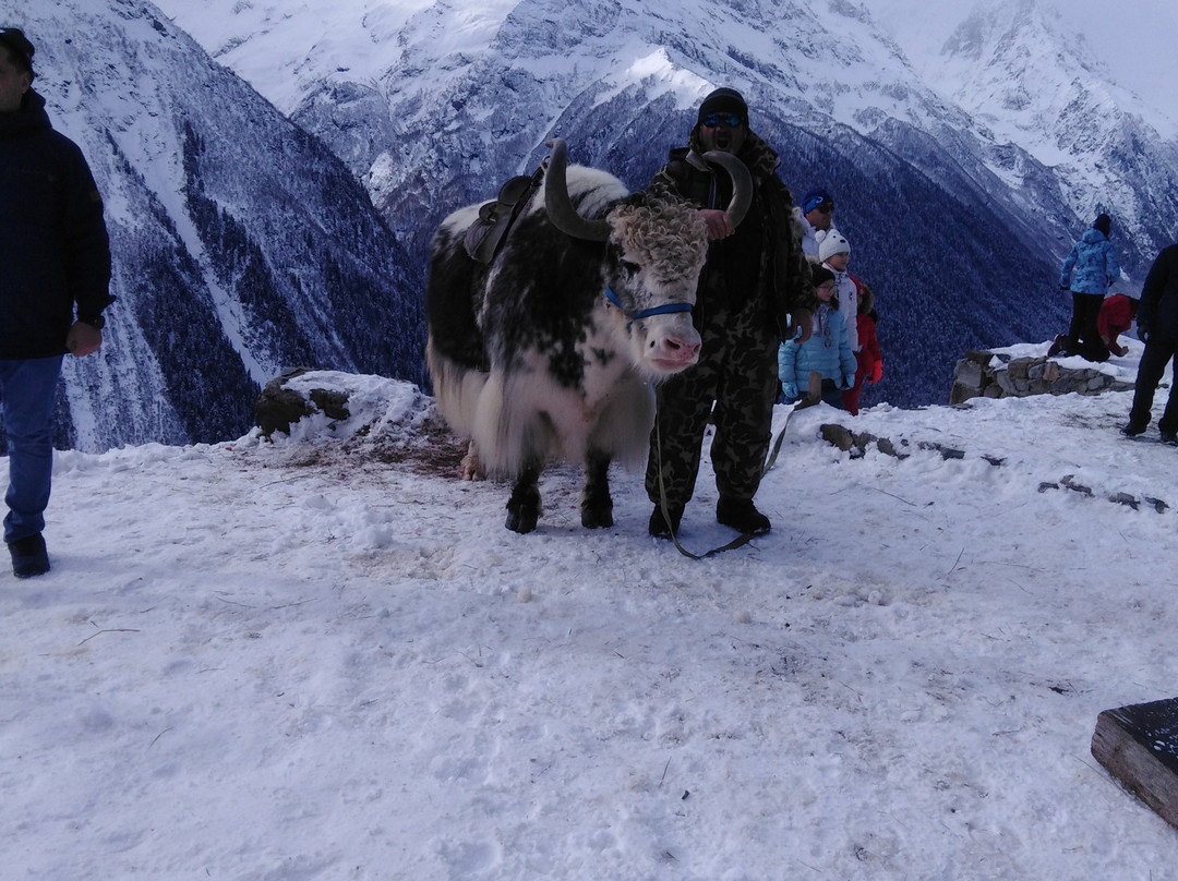 Dombai Ski Resort景点图片