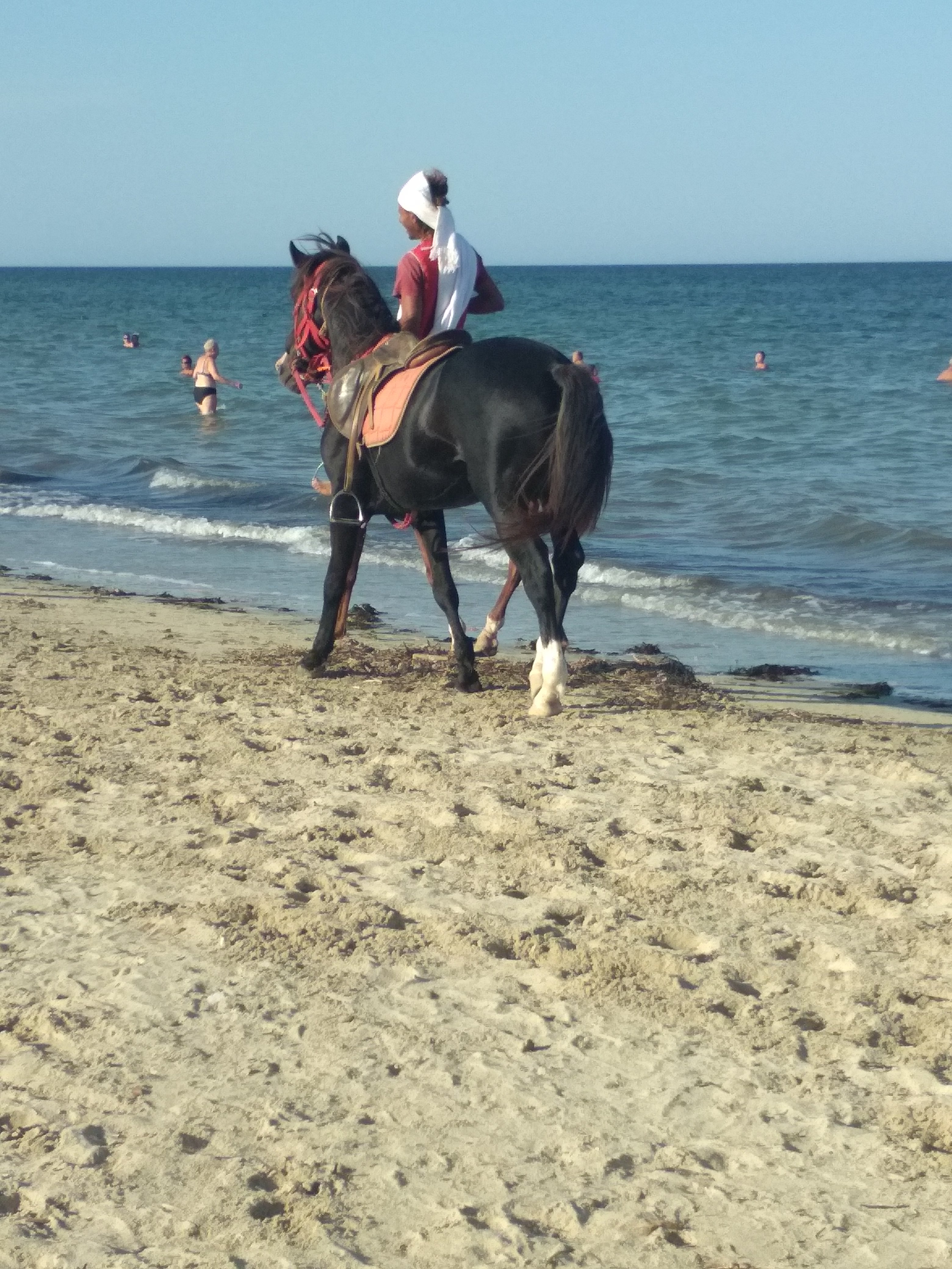 Le Diana Beach-泳池