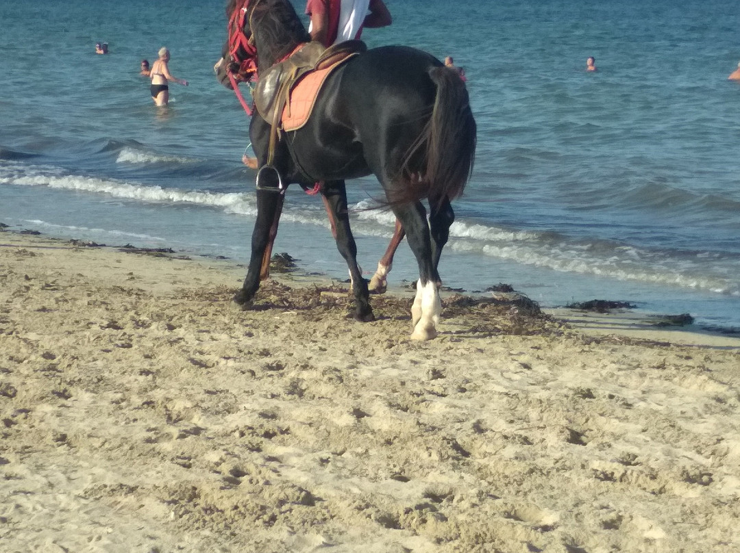 Le Diana Beach主图