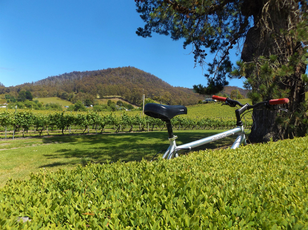 Huon Bikes-Huonville必去景点