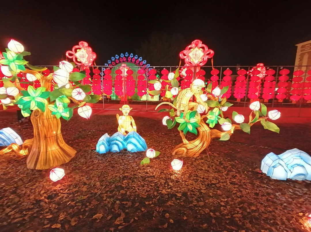 Festival Des Lumieres Celestes景点图片