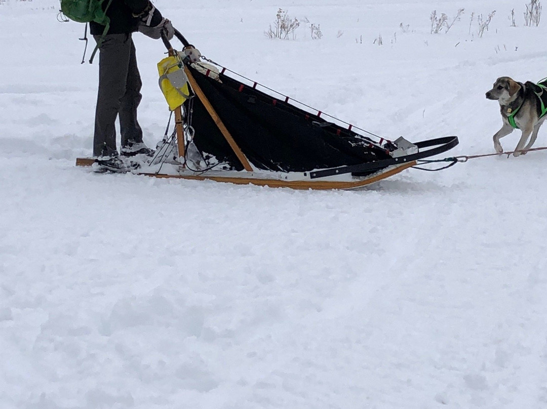 Kinadapt-Rawdon必去景点