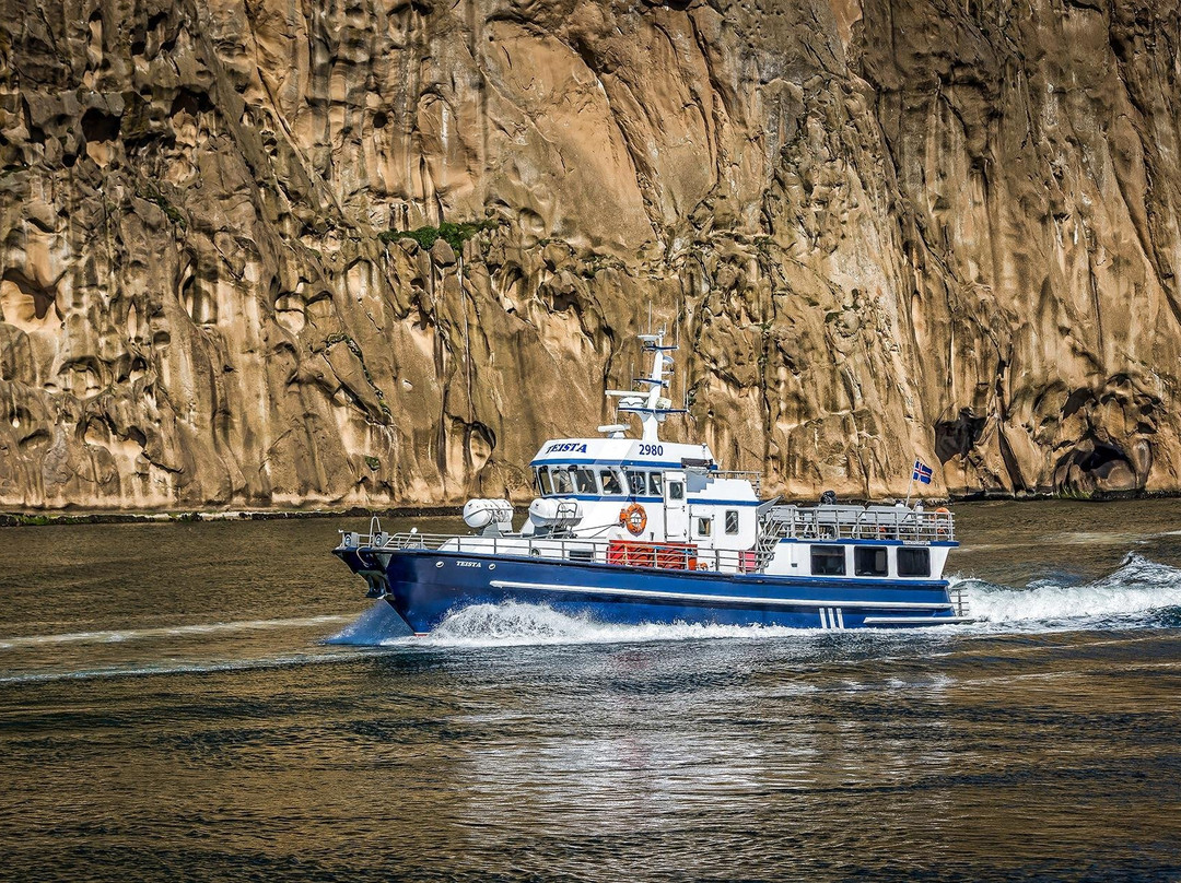 Boat Tours in Vestmannaeyjar-韦斯特曼纳群岛必去景点