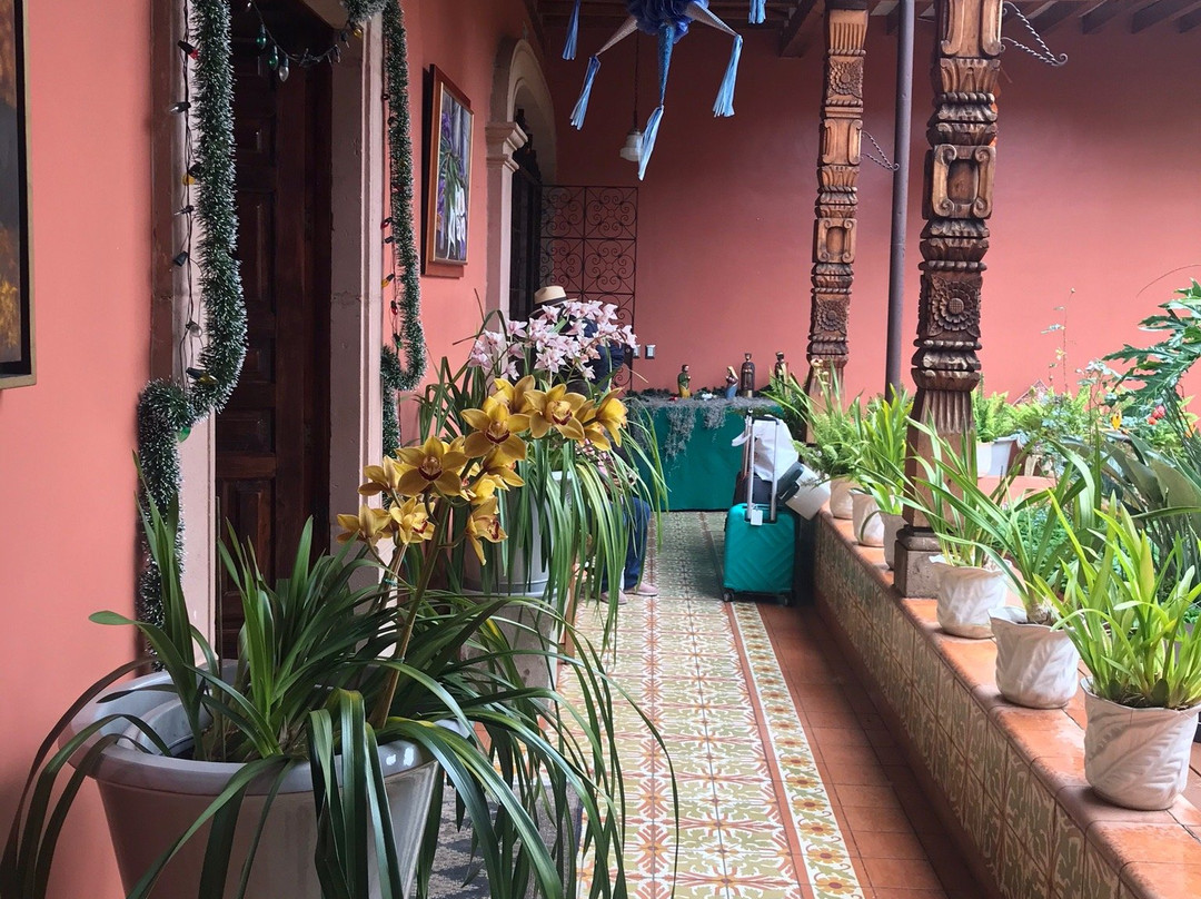 Collection O Hotel La Casa B&B主图