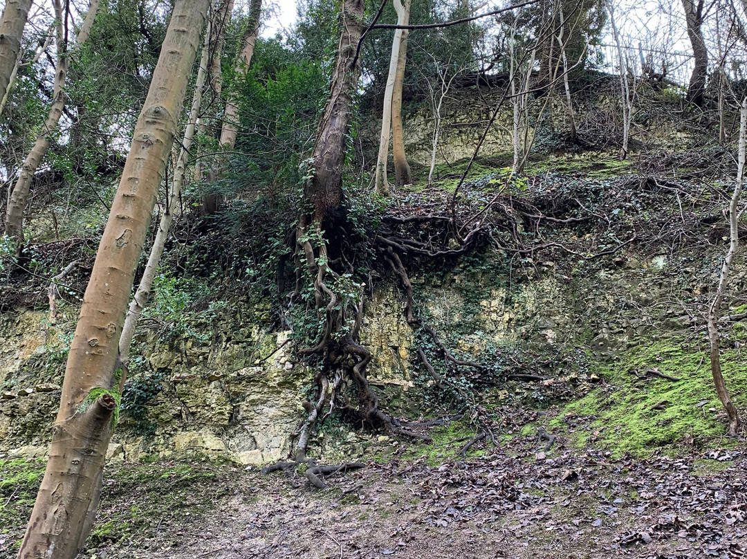 Humber Bridge Country Park景点图片