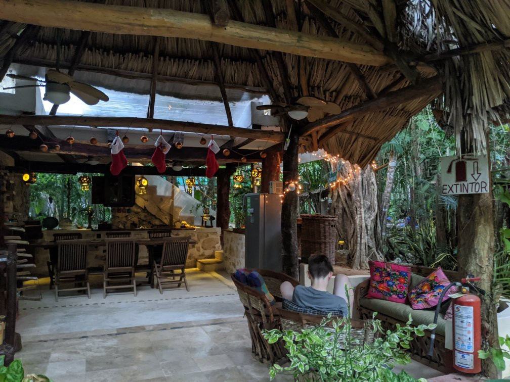 La Selva Mariposa主图