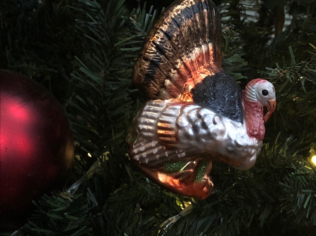 Hotel Turkey Bed & Breakfast主图