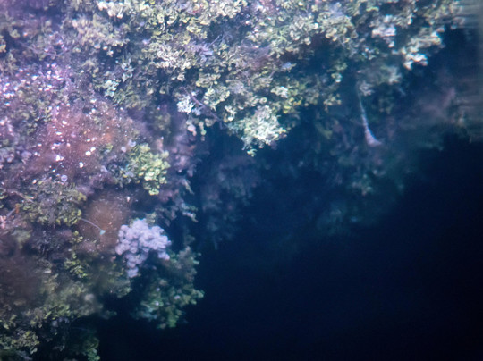 Ibis Bay Paddle Sports-基韦斯特必去景点