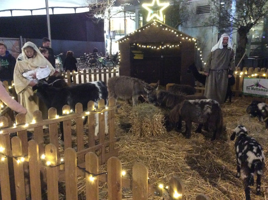 Pieter Vreedeplein-蒂尔堡必去景点