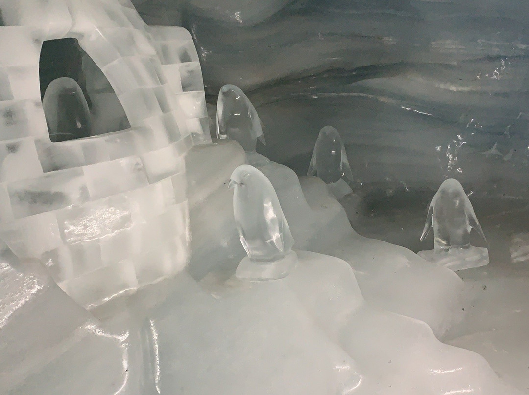 Ice Palace - Jungfraujoch景点图片