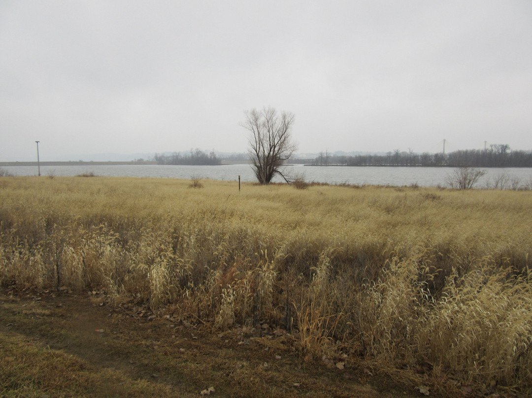 Riverlands Migratory Bird Sanctuary-West Alton必去景点