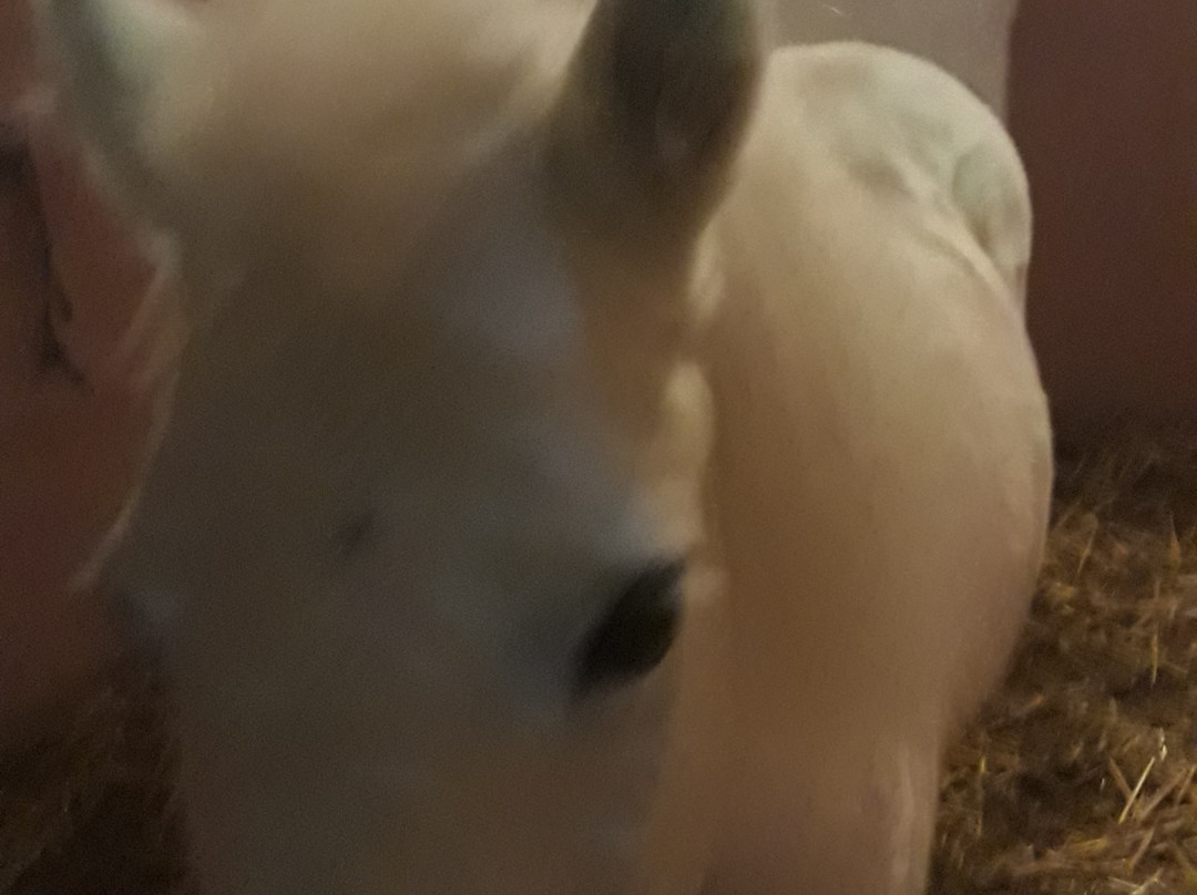 Ipposchesi-Finikia必去景点