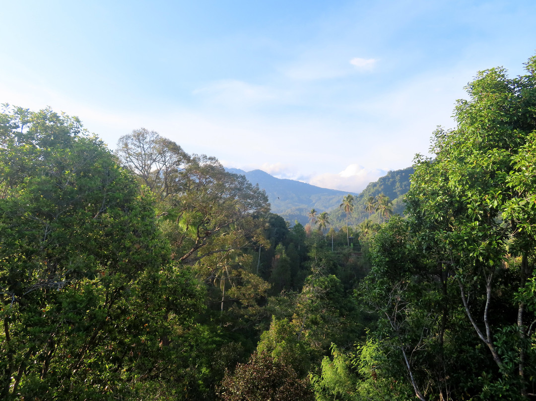 Sugi Gede Homestay主图