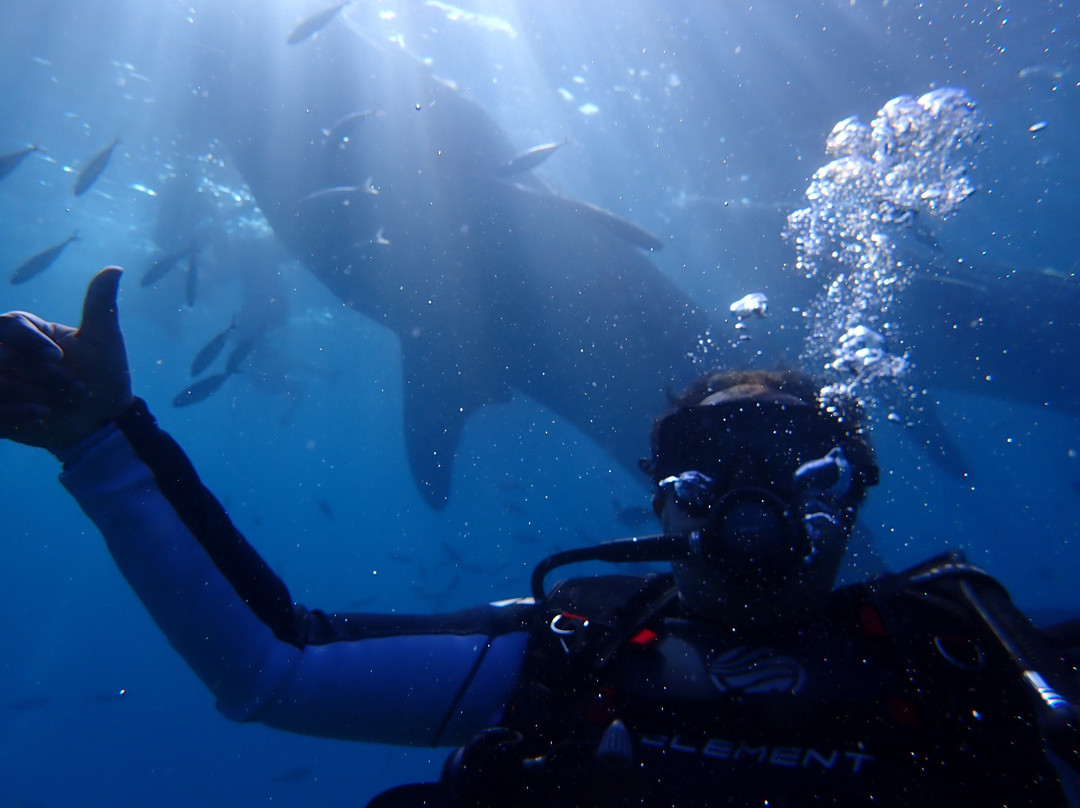 Deep Zone Dive Center景点图片