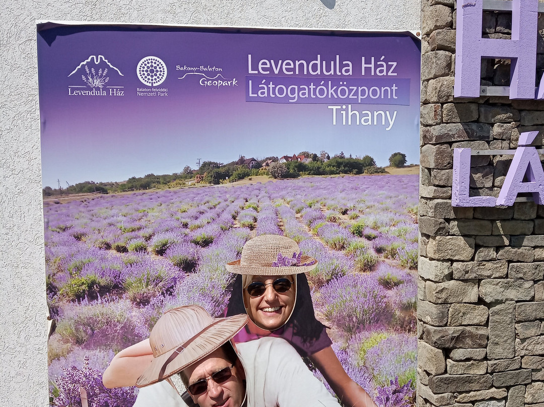 Lavender House景点图片