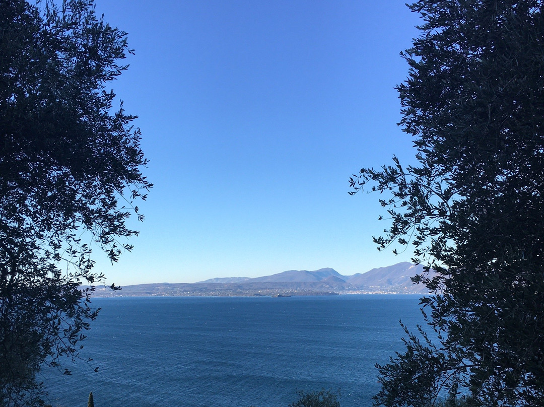 Spiaggia Loc. San Faustino景点图片