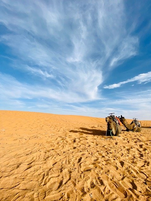 Erg Chebbi Dunes-梅克内斯-塔菲拉勒特区必去景点