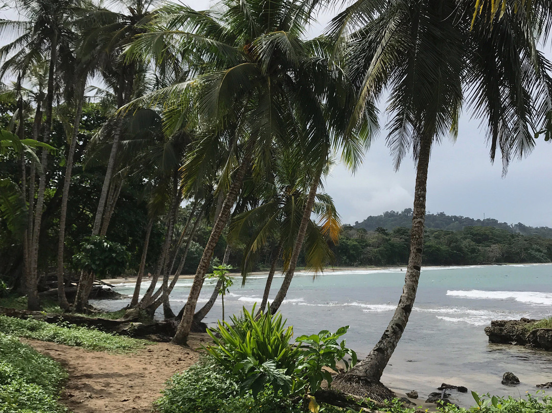 Villas Del Caribe主图