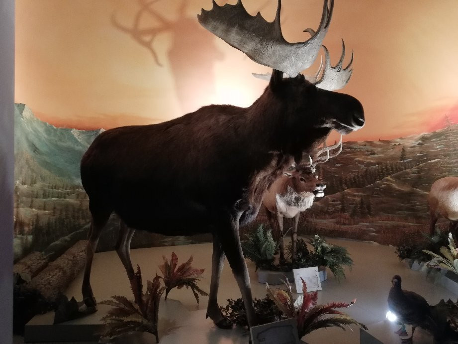 Museo de la Evolucion Puebla (Museum of Evolution Puebla)-普埃布拉必去景点