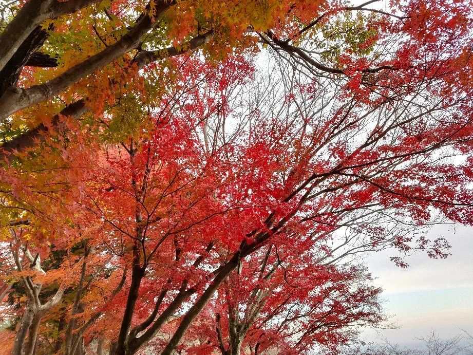 Kenshindaira-栃木市必去景点