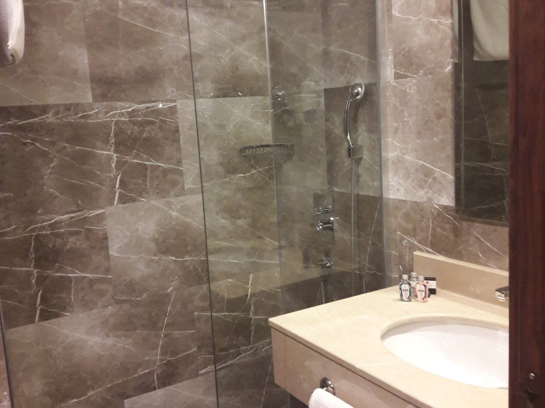 Premier Inn Sakarya主图