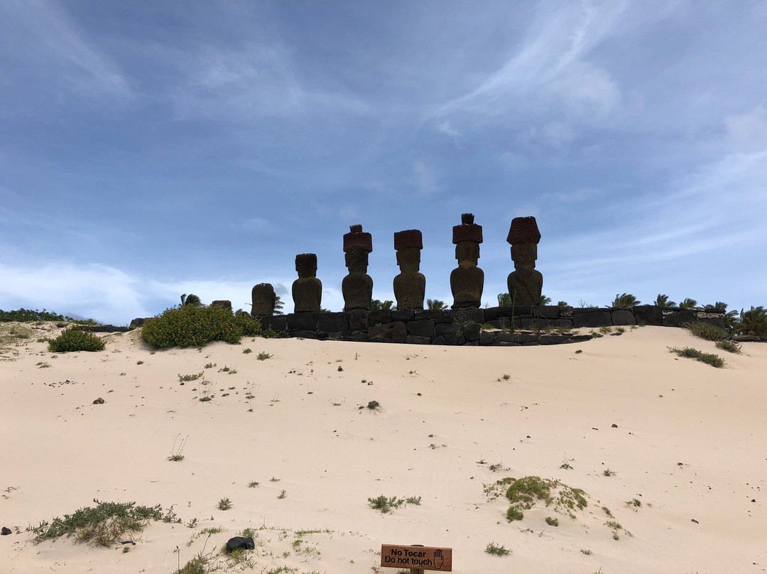 Kava Kava Tours-安加罗阿必去景点