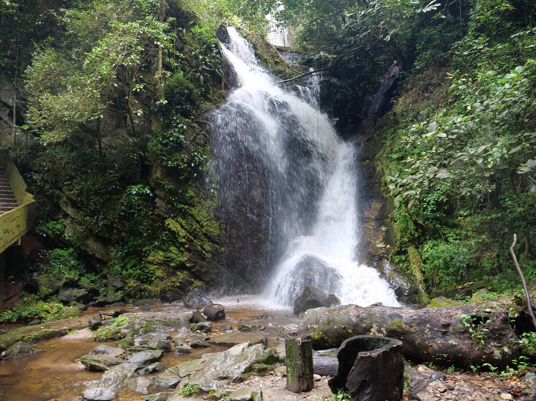 Erin Ijesha Waterfall (Olumirin Waterfalls)-Ijebu-Jesa必去景点