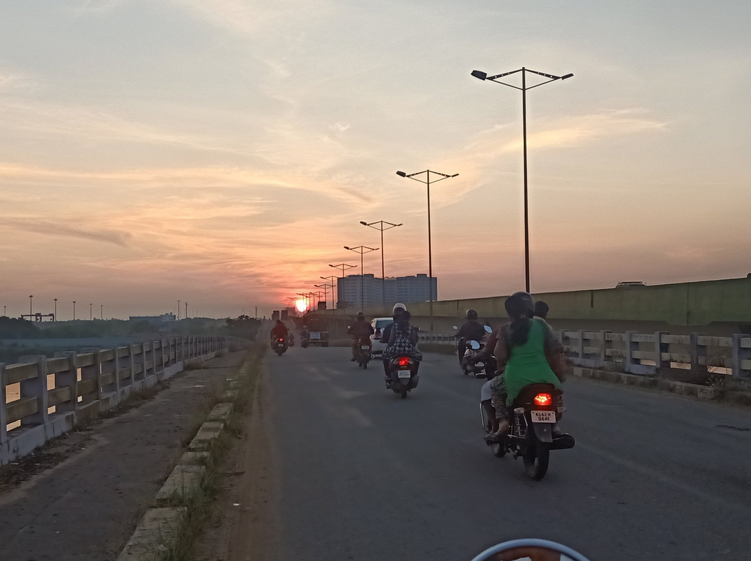 Trip My Kerala-柯钦必去景点