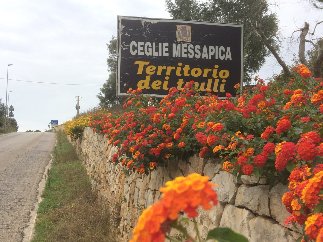 Hotel Madonna Delle Grazie主图