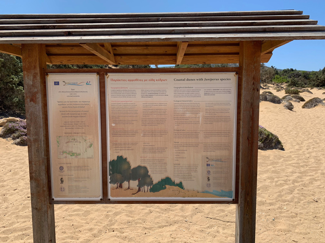 Lavrakas Beach-Gavdos必去景点